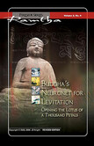 Buddhas Neuronetz zur Levitation Buddhas Neuronetz zur Levitation